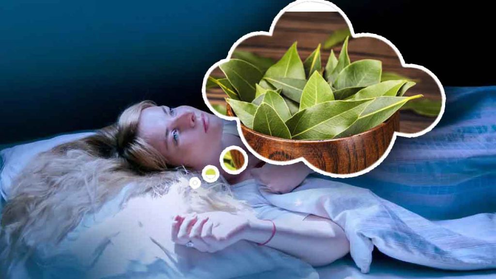 Ce pouvoir insoupçonné d'une feuille de laurier sous votre oreiller pendant la nuit !