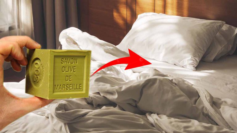 Pourquoi vous devriez absolument glisser un savon de Marseille dans votre lit dès ce soir !
