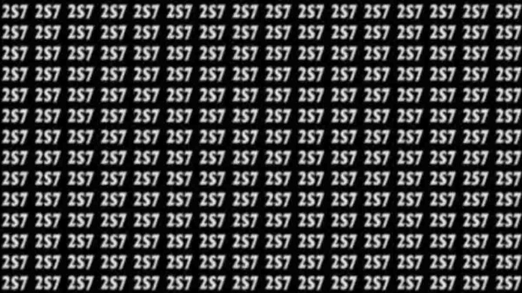 Défi visuel : Seules les personnes avec une vision 10/10 peuvent repérer le nombre 257 en 12 secondes