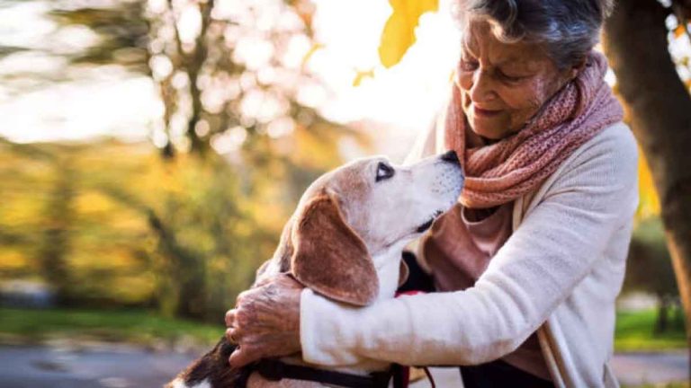 Seniors : y a-t-il un âge limite pour adopter un chien à la SPA ?