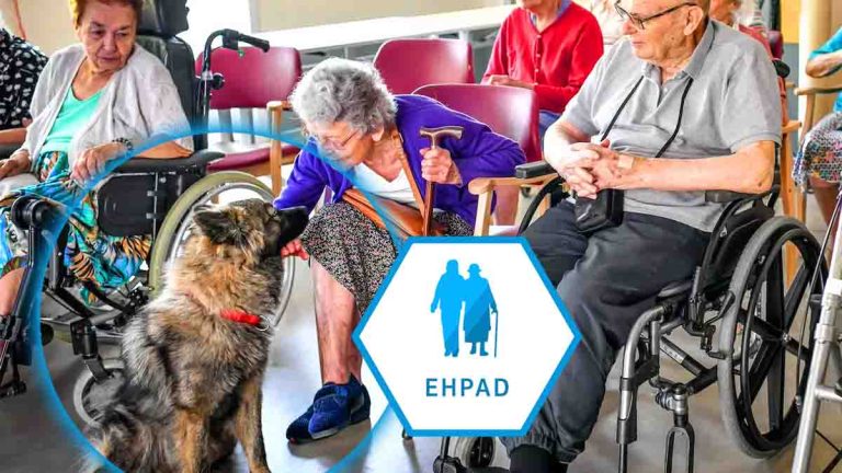 Tous les EHPAD vont-ils bientôt accepter les animaux de compagnie grâce à cette loi ?