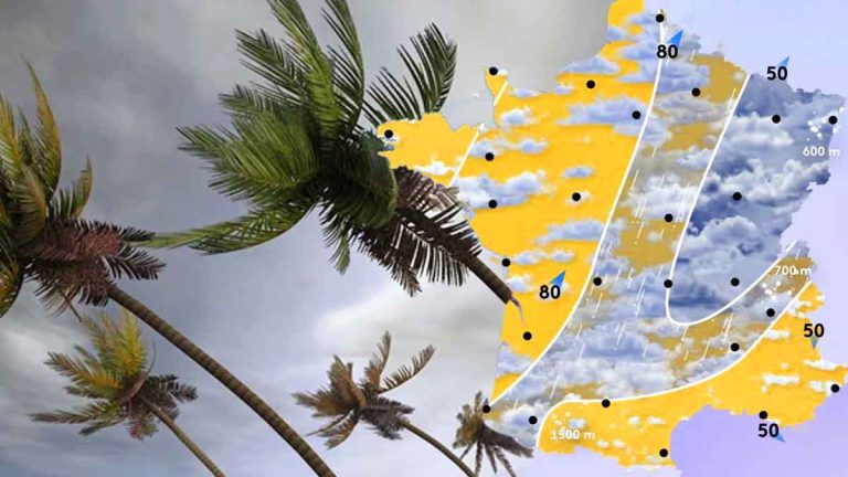 Vents forts jusqu'à 90 km/h attendus ce dimanche 23 février 2025 selon Météo-France