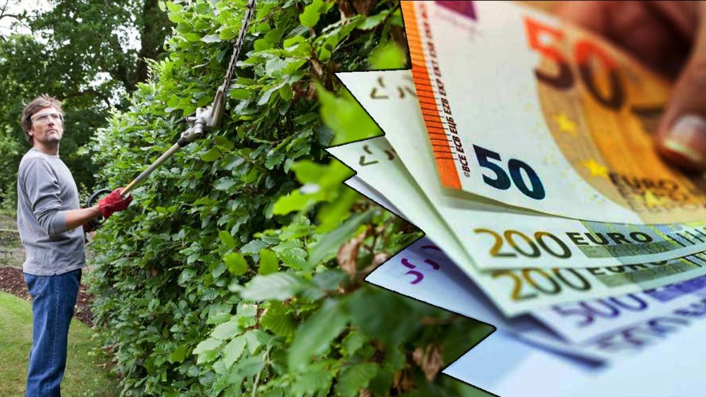 Jardinage : Amende de 150 000 euros pour taille de haies après le 15 mars, êtes-vous concerné ?