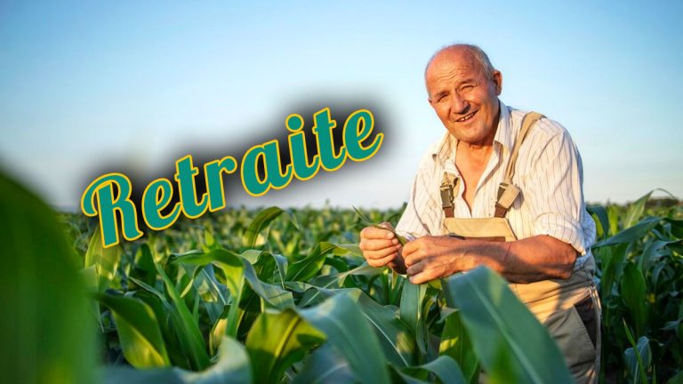 Agriculteur durant 40 ans : « à 60 ans, découvrons combien je perçois de pension »