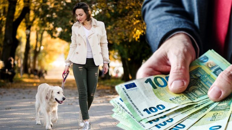 Votre chien pourrait vous coûter cher : attention à la nouvelle règle !