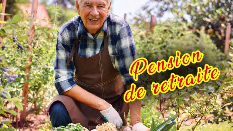 Témoignage d’un agriculteur retraité : « Voilà ce que l’État me verse après toute une vie de labeur »