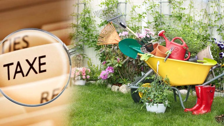 Nouvelle taxe jardin : j’ai vendu les légumes de mon potager, combien devrai-je payer aux impôts ?