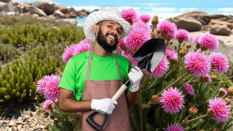 Ce petit arbuste attire les pollinisateurs : plantez-le sans hésiter dans votre jardin !