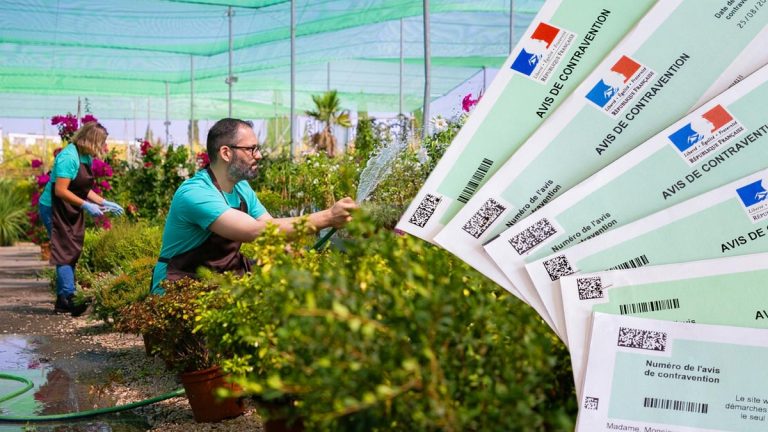 Jardin : ce matériel motorisé peut vous coûter jusqu'à 3 750 € s'il n'est pas assuré