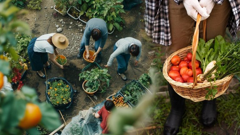 Mariez les bonnes plantes pour un potager plus sain et plus gourmand