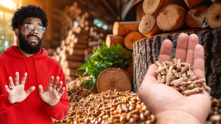 Mauvaise nouvelle : les pellets c’est terminé, les Français décident de se chauffer d'une nouvelle manière