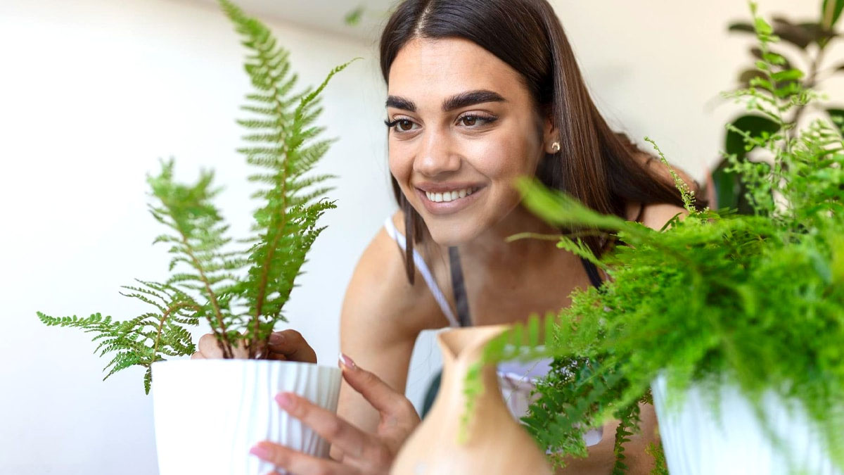 4 plantes ultra résistantes qui aiment le soleil, fleurissent généreusement et envahissent joliment votre jardin en peu de temps