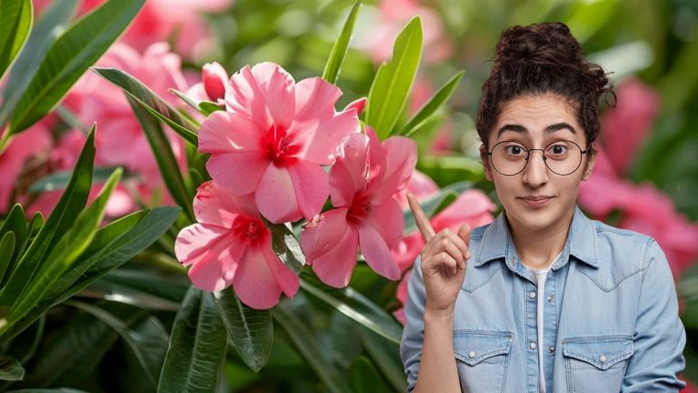 Les méthodes incontestables pour garantir une floraison spectaculaire de votre laurier-rose