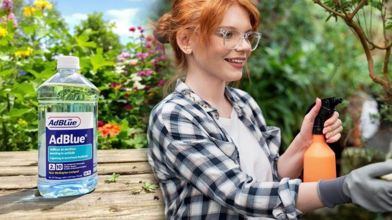 AdBlue un désherbant efficace contre les mauvaises herbes