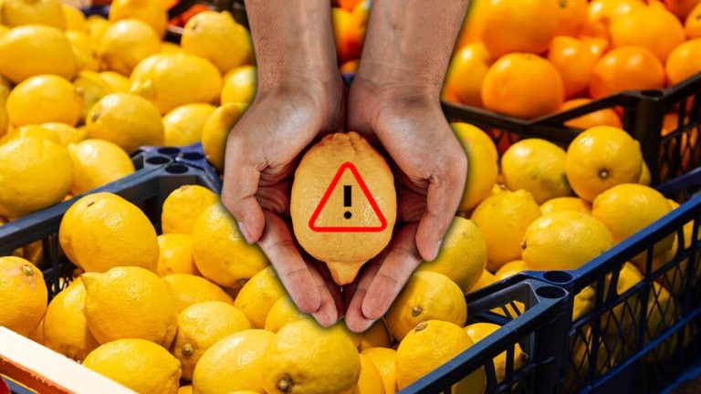 Attention aux citrons pleins de pesticides en provenance de ces deux pays : ils sont à bannir de vos courses !