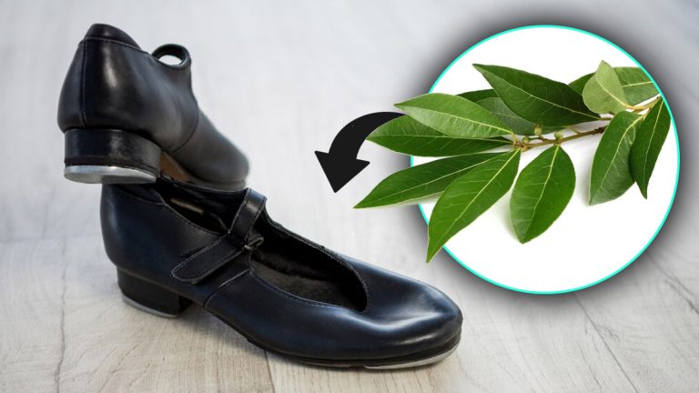Comment une simple feuille de laurier dans vos chaussures peut bouleverser votre routine quotidienne ?