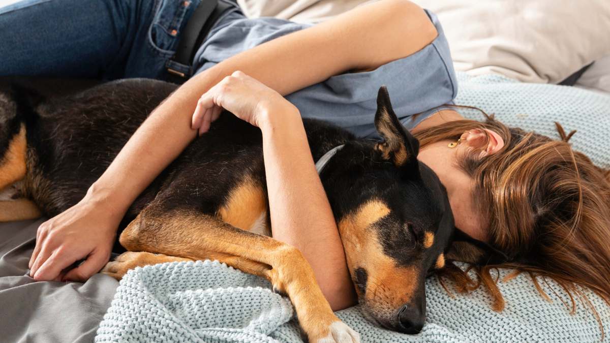 Dormir avec son animal révèle 5 traits de caractère chez les propriétaires selon la psychologie