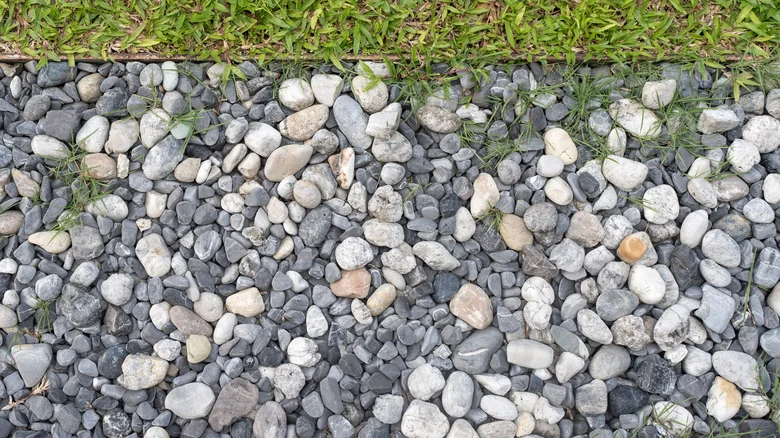 Empêchez les mauvaises herbes d’envahir votre allée en gravier grâce à un geste simple