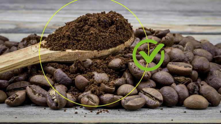 Les scientifiques ont trouvé une utilisation étonnante du marc de café : vous n'en reviendrez pas !