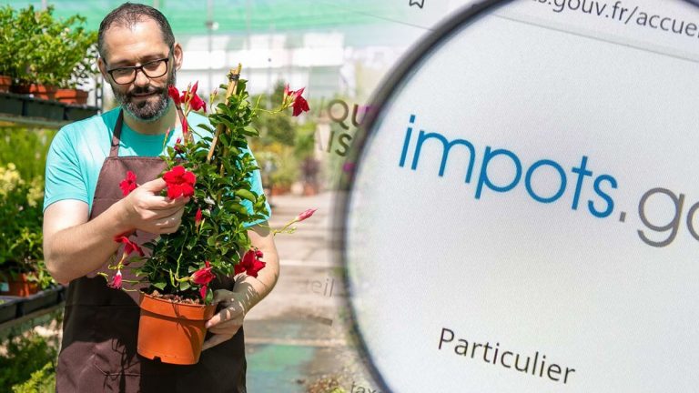 Impôts : 2 500 € d’économies grâce à cette case trop souvent négligée par les propriétaires de jardin