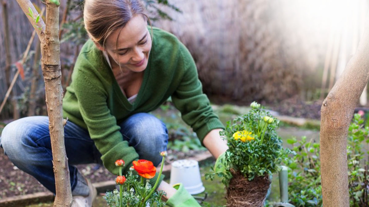 Tout le monde fait cette erreur dans son jardin : préparez-vous à une lourde amende à partir de cette date