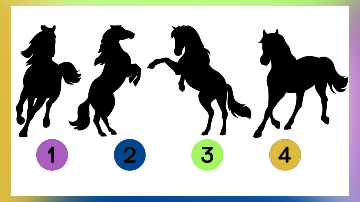 « Dis-moi quel cheval tu choisis, je te dirai qui tu es » : ce test bluffant révèle votre plus grande qualité en 30 secondes